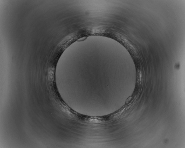 X0000097990475200804211109