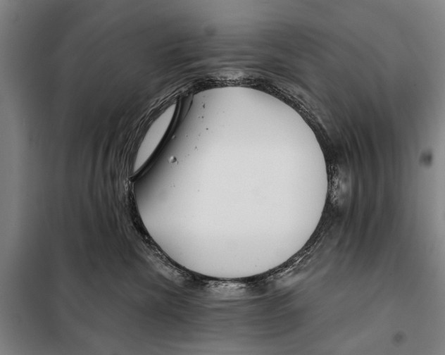 X0000097990476200804211109