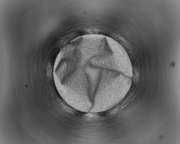 X0000097990477200804211109