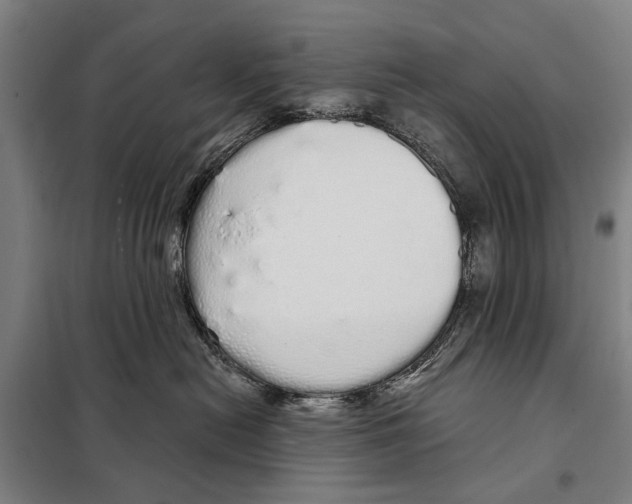 X0000097990478200804211109