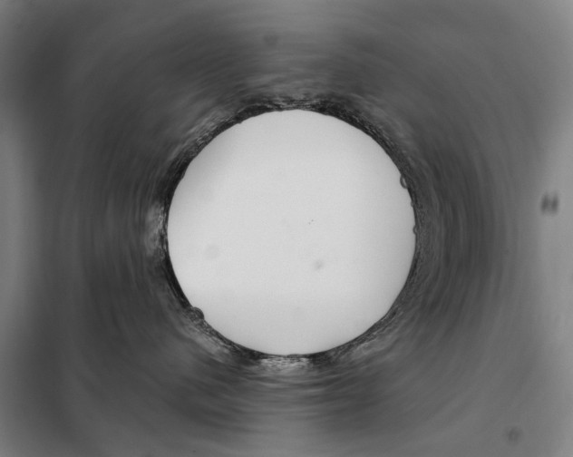 X0000097990480200804211109