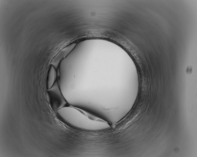 X0000097990481200804211108