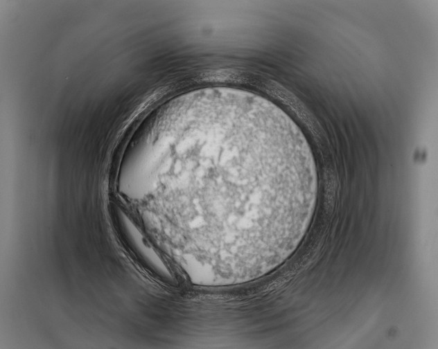 X0000097990482200804211108