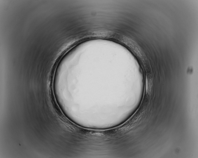 X0000097990483200804211108