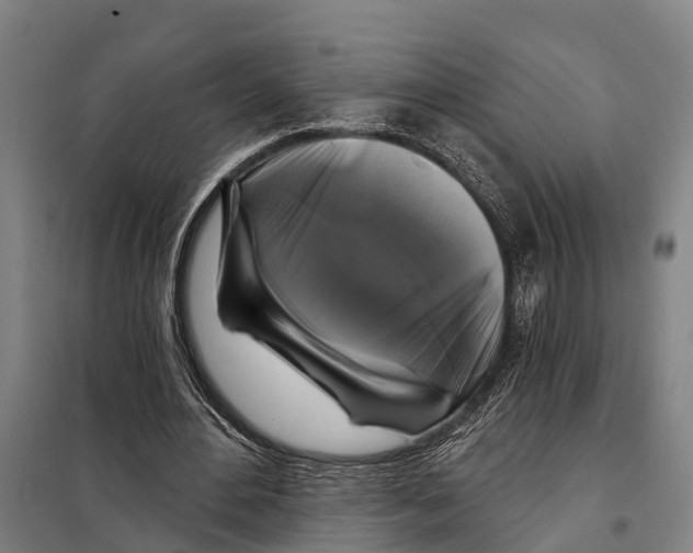 X0000097990484200804211108