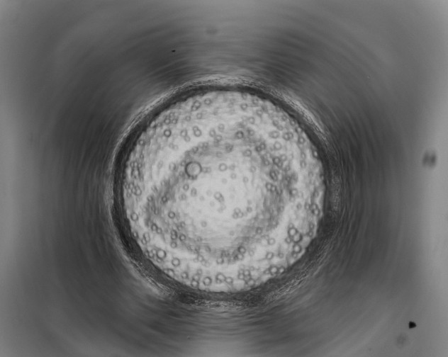 X0000097990486200804211108