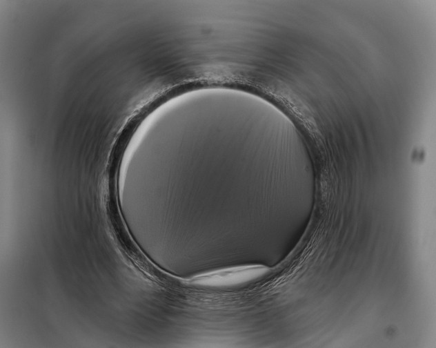 X0000097990488200804211108