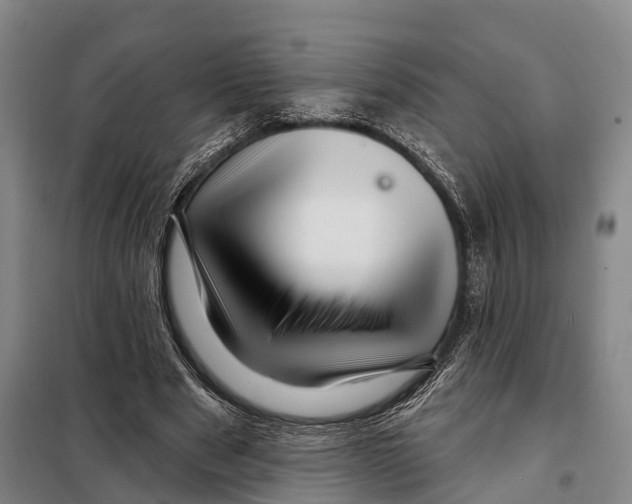 X0000097990489200804211108