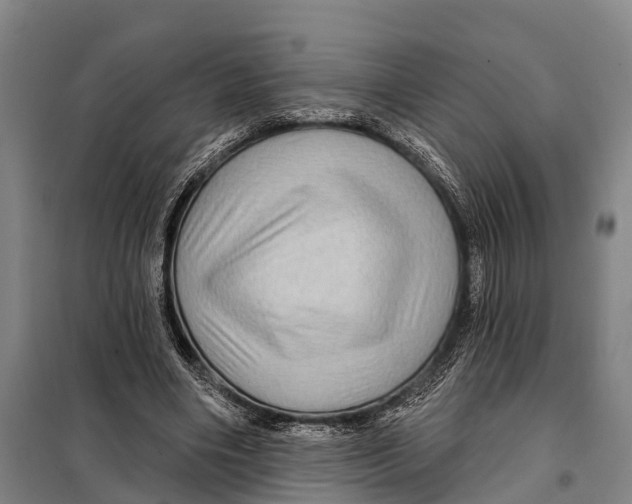 X0000097990490200804211108