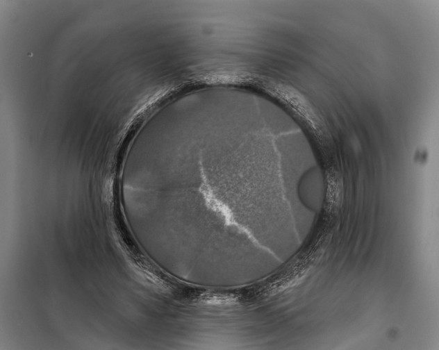 X0000097990491200804211108