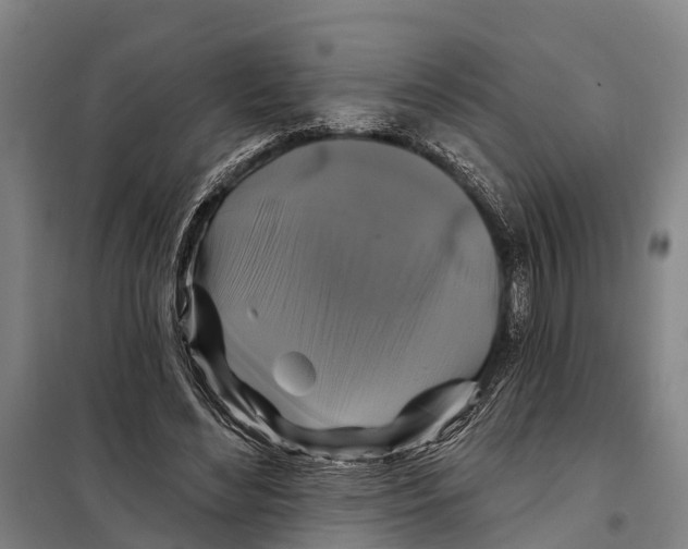 X0000097990492200804211108