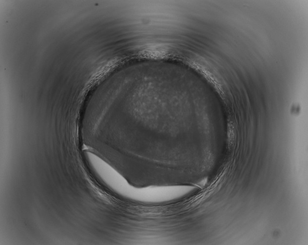 X0000097990493200804211108