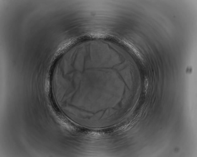 X0000097990494200804211108