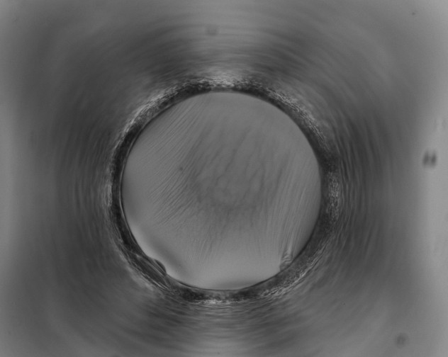 X0000097990496200804211108