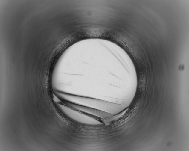 X0000097990497200804211108