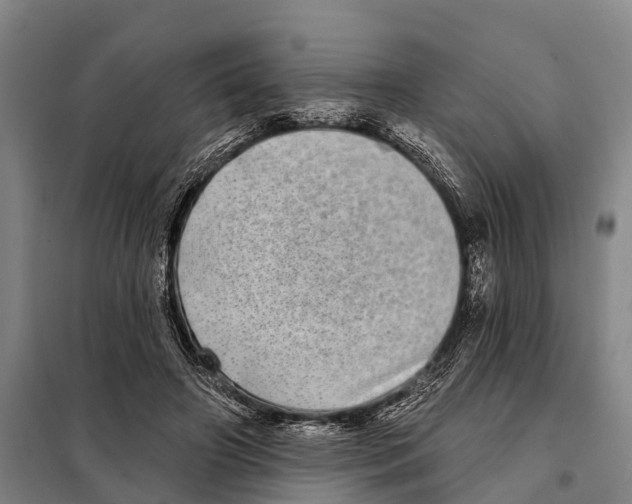 X0000097990498200804211108