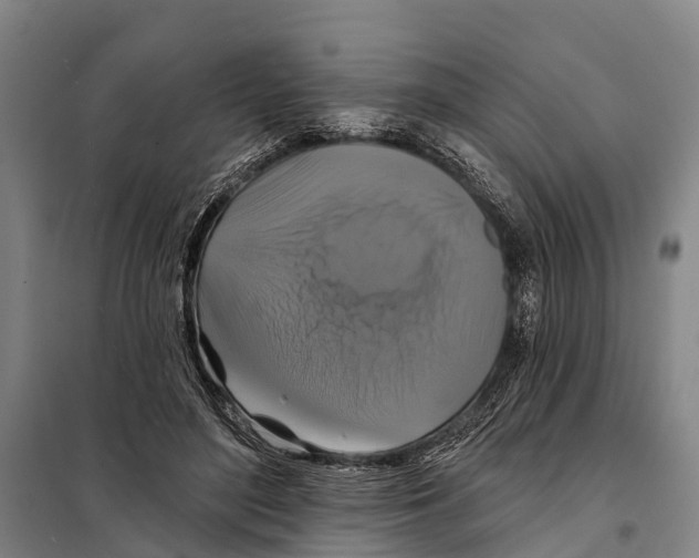 X0000097990500200804211108