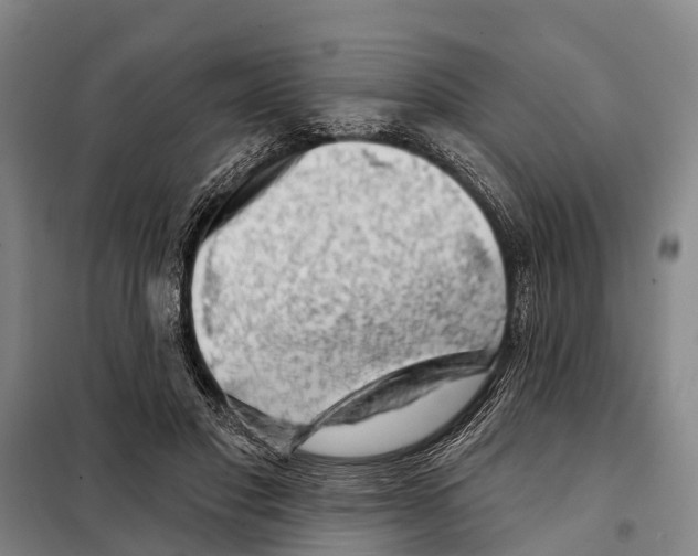 X0000097990501200804211108