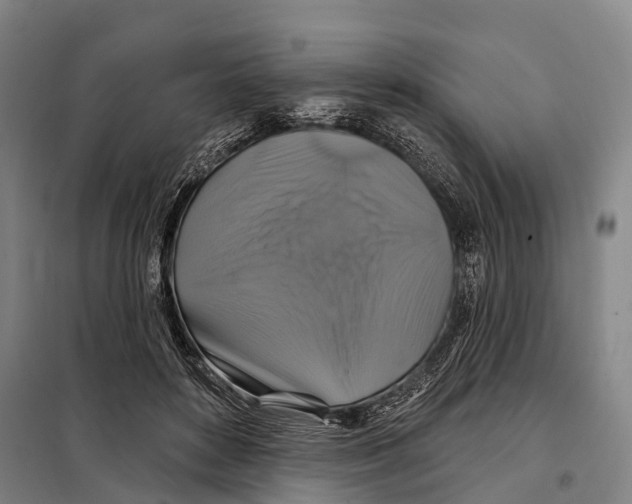 X0000097990504200804211108