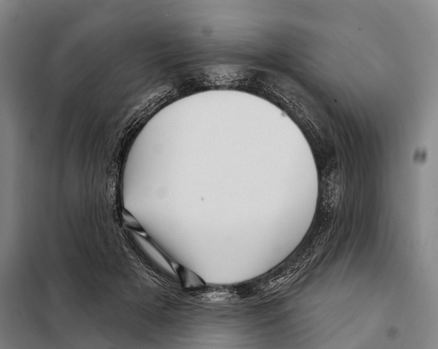 X0000097990505200804211108