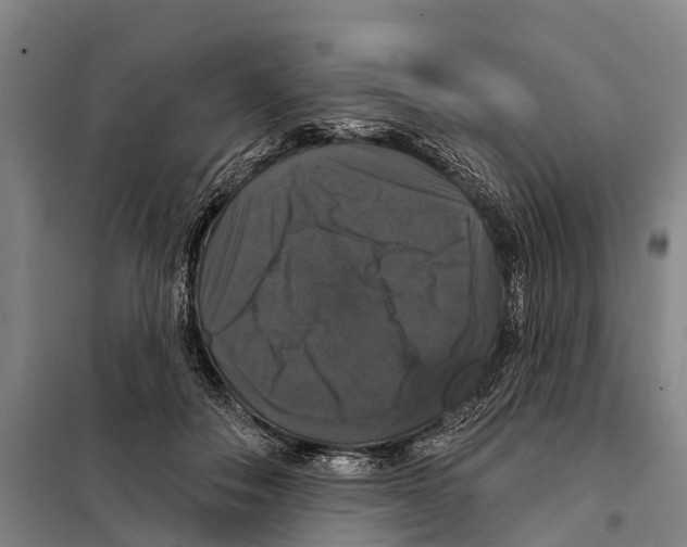 X0000097990506200804211108