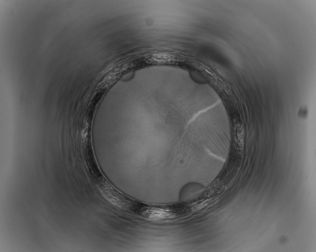 X0000097990507200804211108