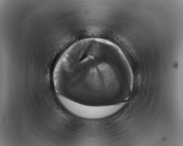 X0000097990508200804211108