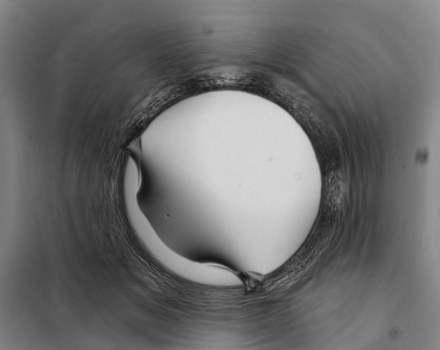 X0000097990509200804211108