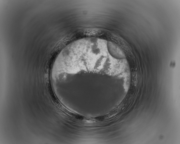 X0000097990510200804211108