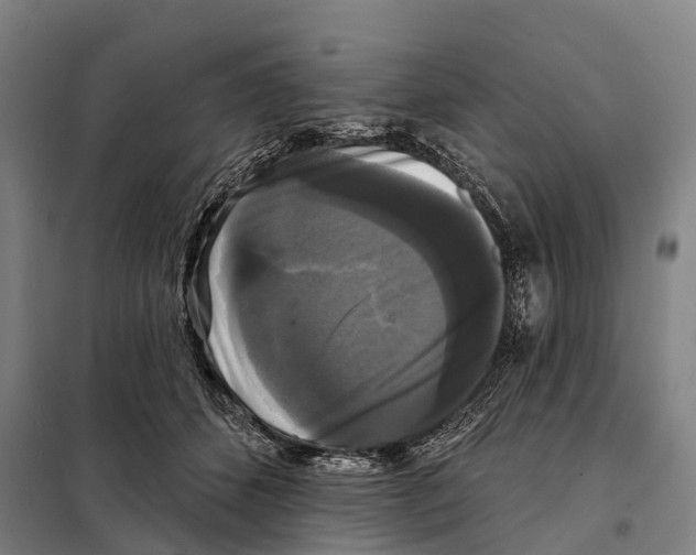 X0000097990512200804211108