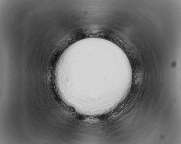 X0000097990515200804211108