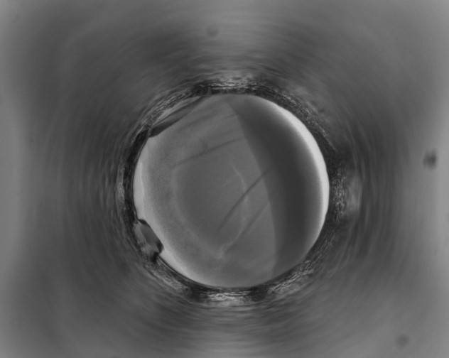 X0000097990516200804211108