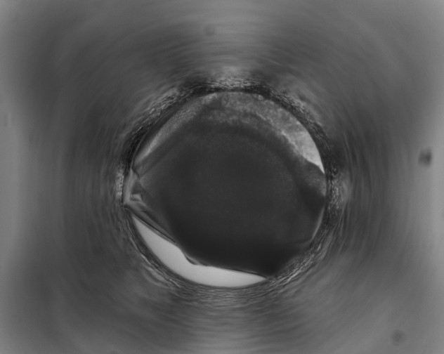 X0000097990517200804211108