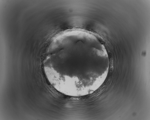 X0000097990519200804211108