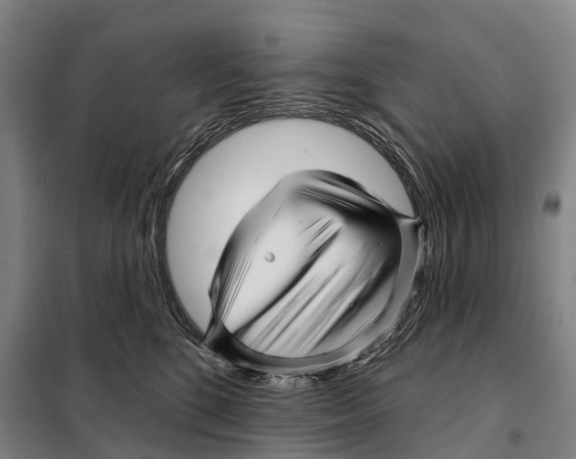 X0000097990520200804211108