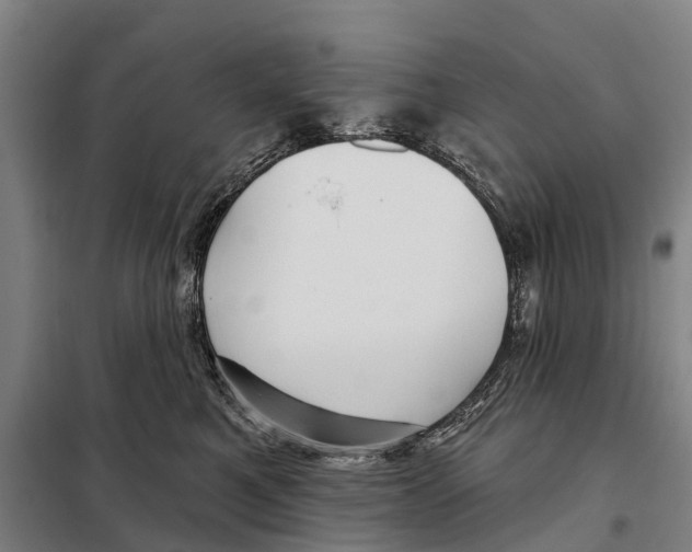 X0000097990521200804211108