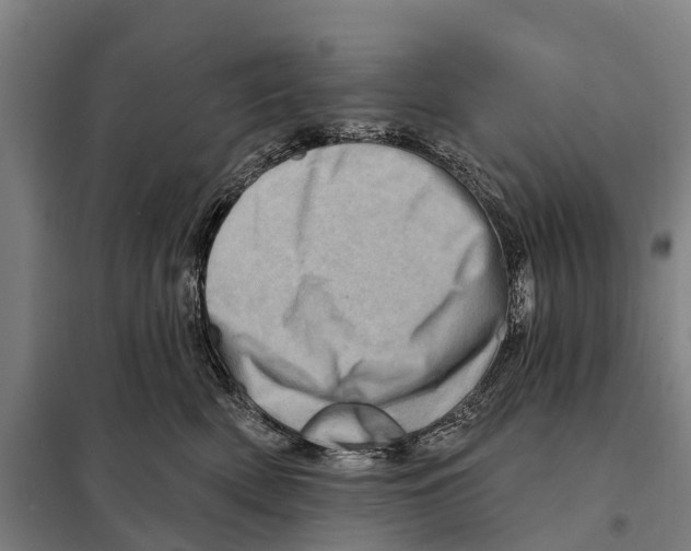 X0000097990522200804211108