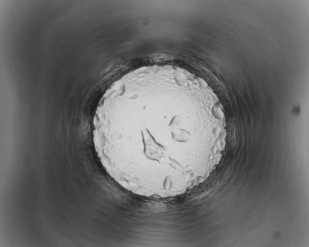 X0000097990523200804211108