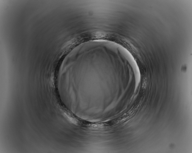 X0000097990524200804211108