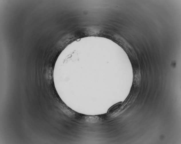 X0000097990525200804211107