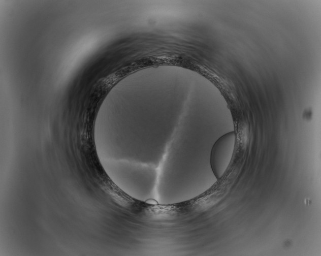 X0000097990526200804211107