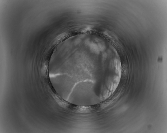 X0000097990527200804211107