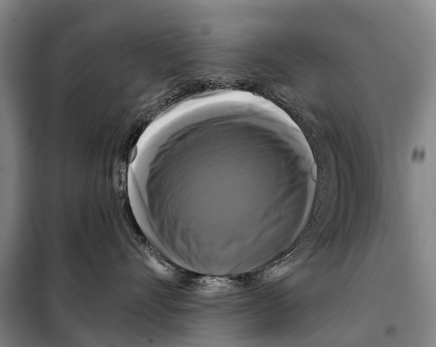 X0000097990528200804211107