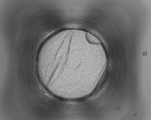 X0000097990529200804211107