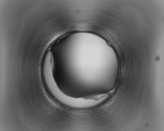 X0000097990530200804211107