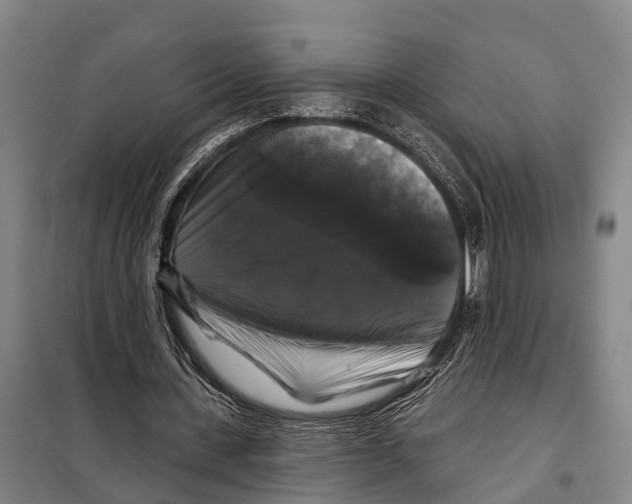 X0000097990531200804211107