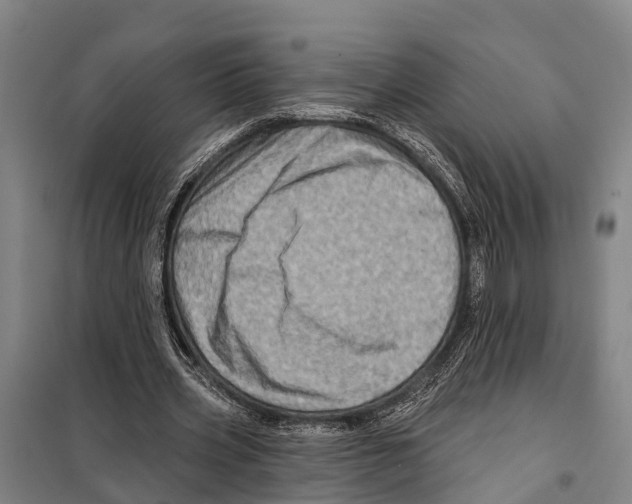 X0000097990533200804211107