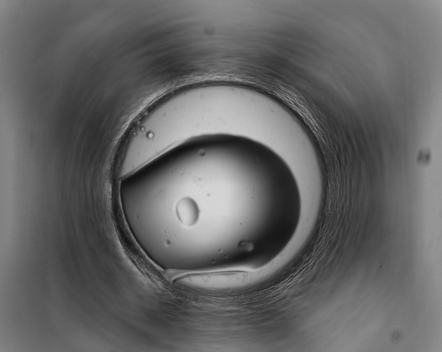 X0000097990534200804211107