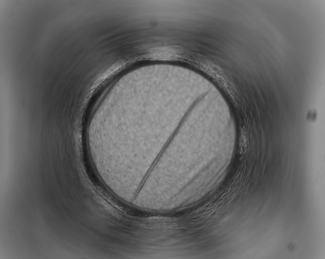 X0000097990535200804211107