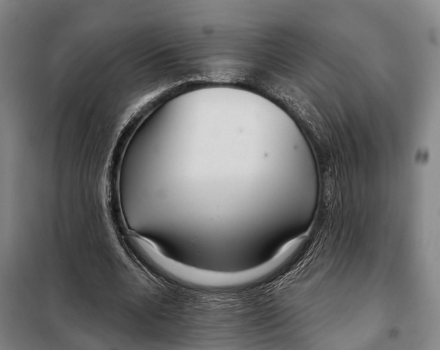 X0000097990536200804211107